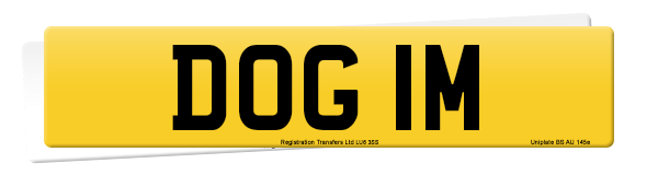 Registration number DOG 1M